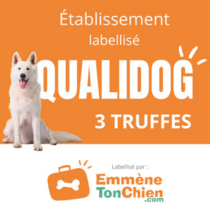 Emmène ton chien